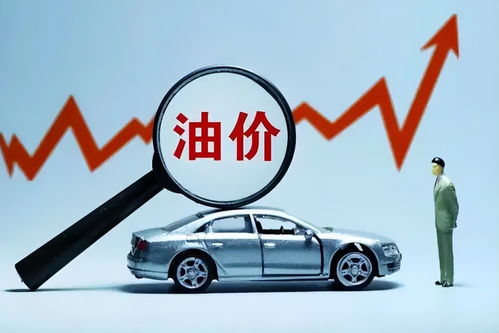 除了汽车多少钱