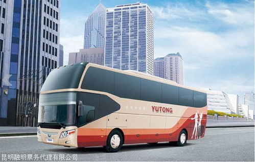 大巴汽车多少座位最好